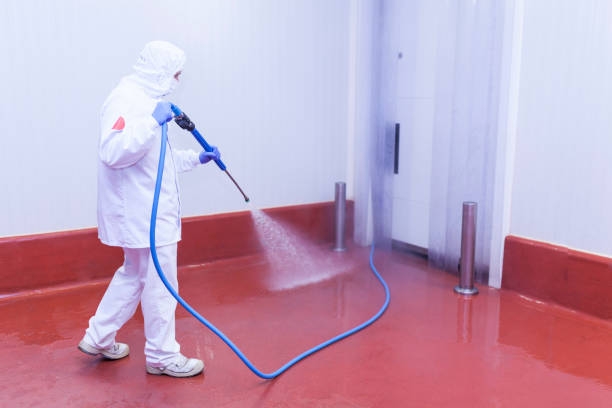 Best Residential Exterior Washing  in Havana, FL